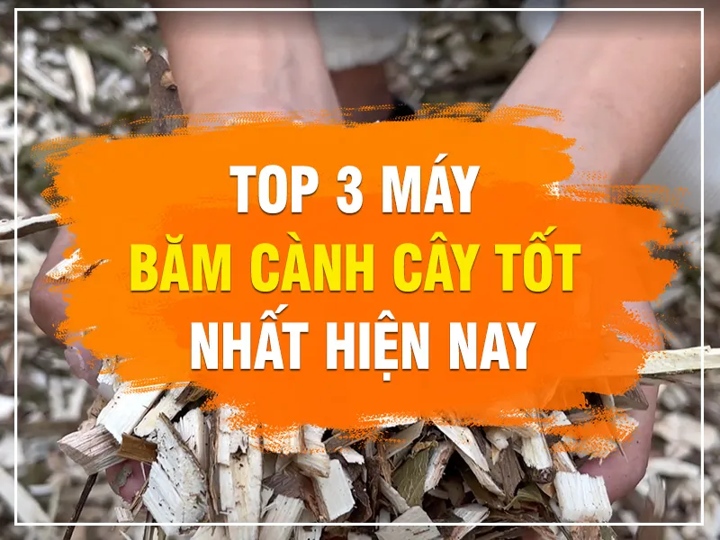 may-bam-canh_result