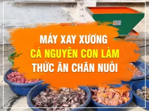 may-xay-xuong-ca_result