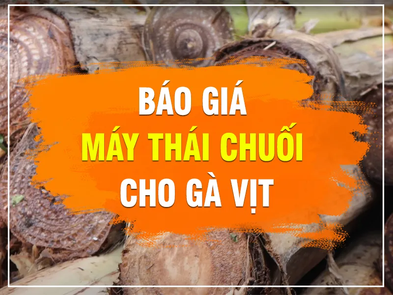 co-nen-cho-ga-an-than-cay-chuoi_result