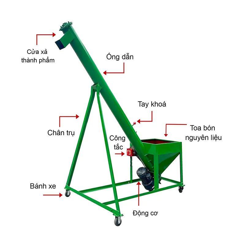 cau-tao-vit-tai_result