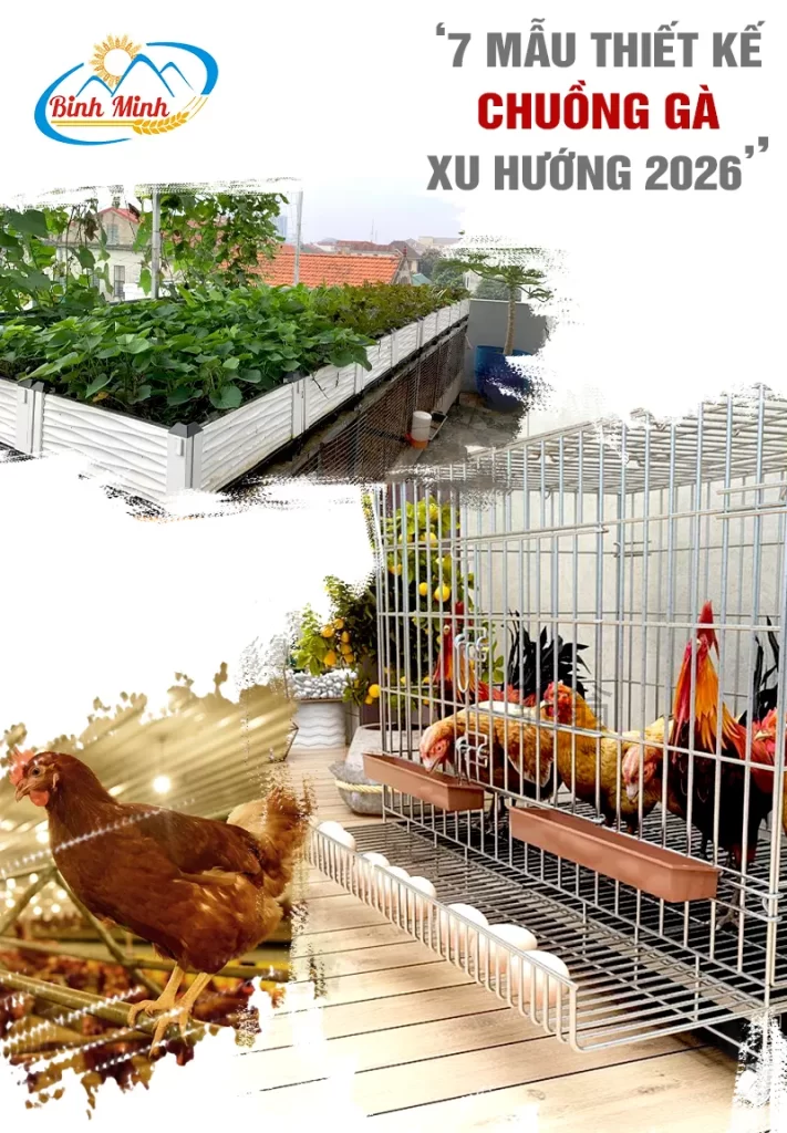 cach-lam-chuong-ga-dien-tich-nho_result