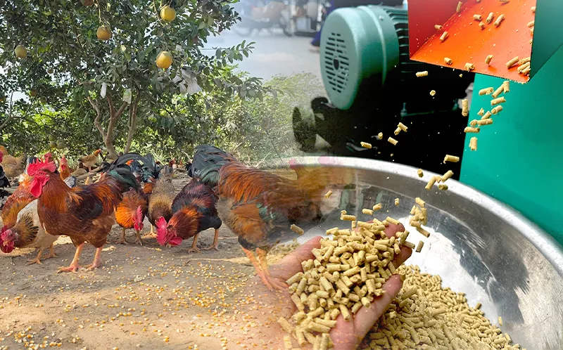 cho-ga-an-cam_result