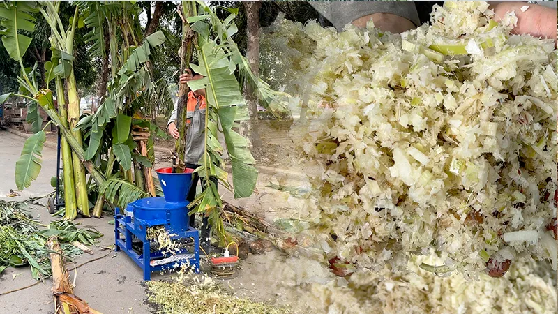 may-bam-chuoi-cho-ga_result