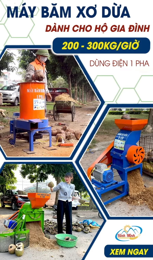 may-bam-xo-dua-cho-ho-gia-dinh_result