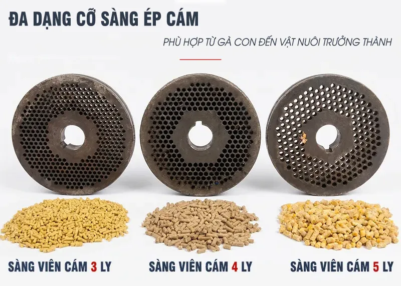 mat-sang-ep-cam-vien_result_result