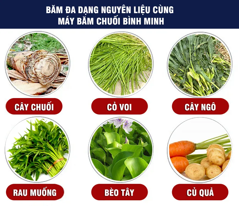 may-bam-chuoi-da-nang_result