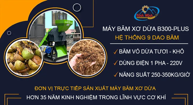 may-bam-xo-dua-b300-plus_result