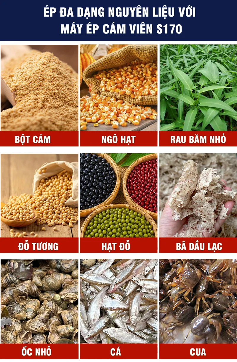 nguyen-lieu-lam-cam-vien_result