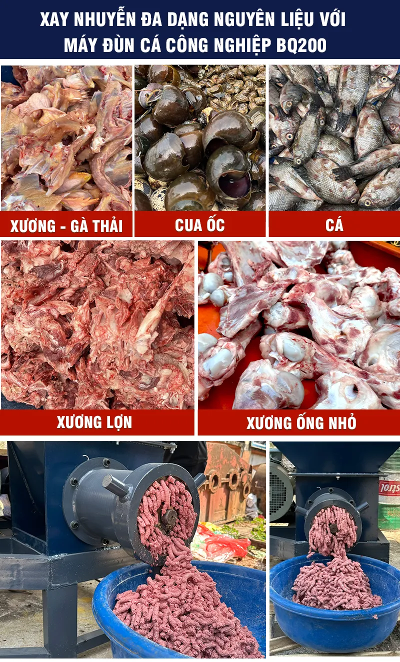 may-xay-xuong_result
