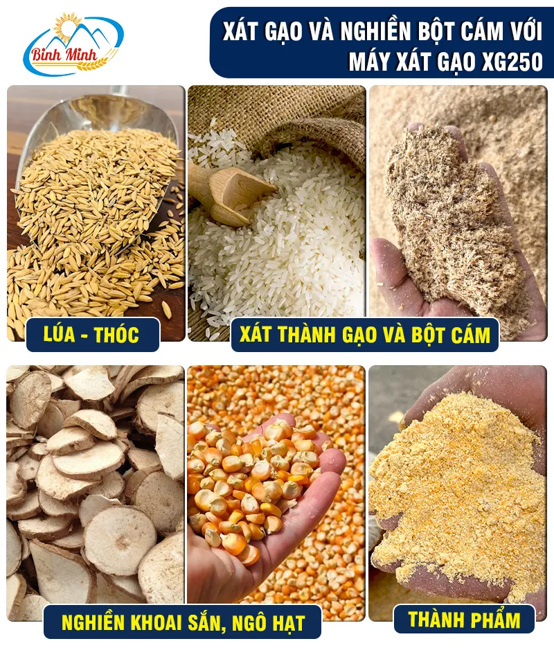 xat-gao_result